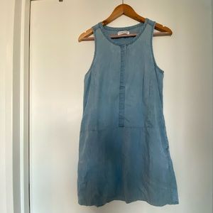 Everlane Denim Dress